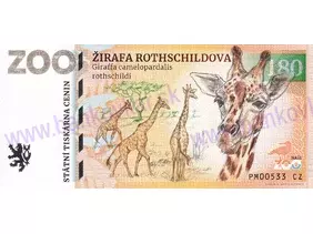 180 ZOO PLZEŇ (Žirafa Rothschildova) 2022