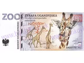 180 ZOO WARSZAWA (Žyrafa ugandyjska) 2023