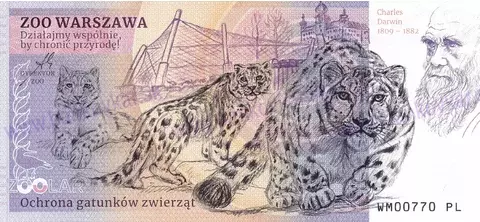 180 ZOO WARSZAWA Żyrafa ugandyjska