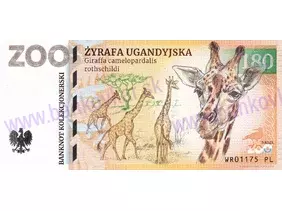 180 ZOO WROCŁAW (Žyrafa ugandyjska) 2022