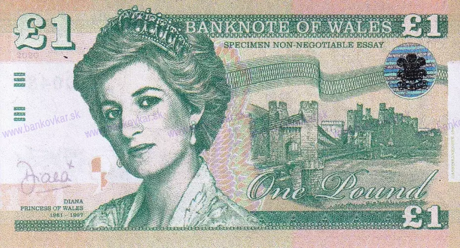 1 Pound DIANA MAGNETKA