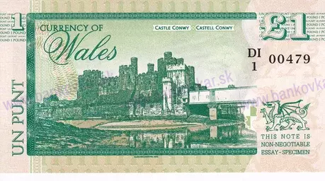 20 Dollars Amelia Earhart2020 Polymer