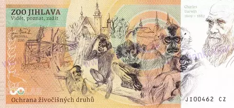 210 ZOO JIHLAVA Krokodýl čelnatý 2023