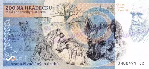 210 ZOO NA HRÁDEČKU Krokodýl čelnatý 2024