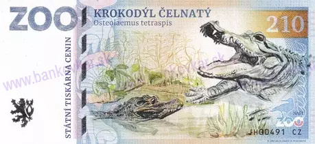 210 ZOO NA HRÁDEČKU Krokodýl čelnatý 2024