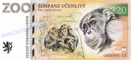 220 ZOO DVOREC Šimpanz učenlivý 2026-1