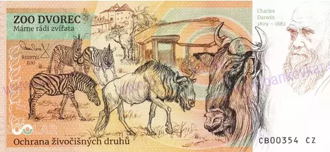 220 ZOO DVOREC Šimpanz učenlivý 2026-1