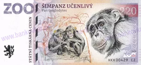 220 ZOO Dvůr Králové n./L Šimpanz učenlivý 2025