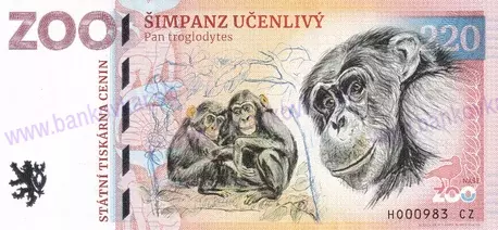 220 ZOO HODONÍN Šimpanz učenlivý 2024