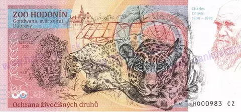 220 ZOO HODONÍN Šimpanz učenlivý 2024