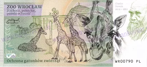 220 ZOO WROCŁAW Szympans zwyczajny