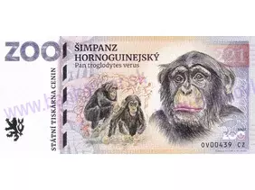 221 ZOO OSTRAVA (Šimpanz hornoguinejský) 2025