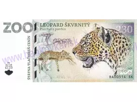 230 ZOO BRATISLAVA (Leopard škvrnitý) 2024