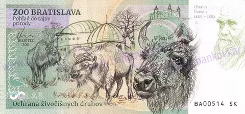230 ZOO Bratislava Leopard škvrnitý 2024