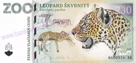 230 ZOO Bratislava Leopard škvrnitý 2024