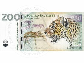 230 ZOO BRATISLAVA (Leopard škvrnitý) 2024
