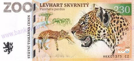 230 ZOO DVŮR KRÁLOVÉ n/L. Levhart Skvrnitý 2023
