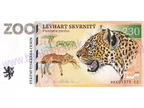 230 ZOO DVŮR KRÁLOVÉ n/L. (Levhart skvrnitý) 2023