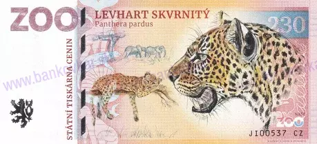230 ZOO JIHLAVA Levhart skvrnitý 2023