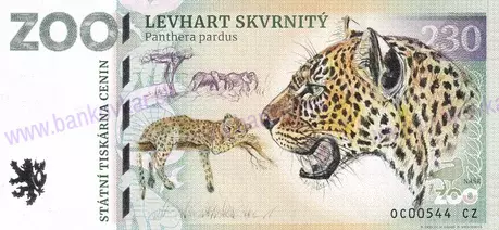 230 ZOO OLOMOUC Levhart skvrnitý 2023