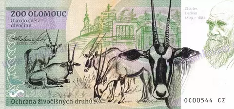 230 ZOO OLOMOUC Levhart skvrnitý 2023