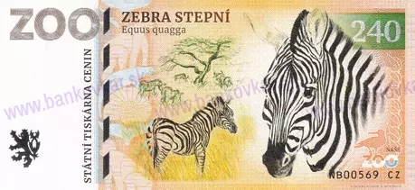 240 ZOO CHLEBY Zebra stepní