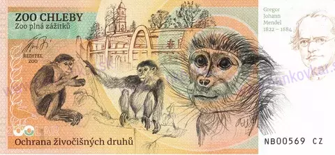 240 ZOO CHLEBY Zebra stepní