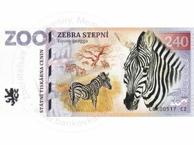 240 ZOO LIBEREC (Zebra stepní) 2023