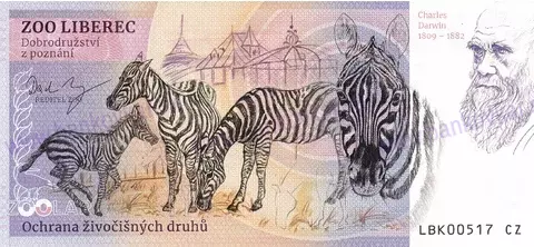 240 ZOO LIBEREC Zebra stepní