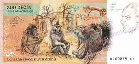 270 ZOO DĚČÍN Medvěd hnědý 2024