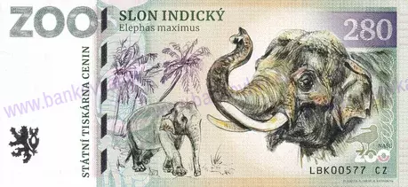 280 ZOO LIBEREC Slon indický