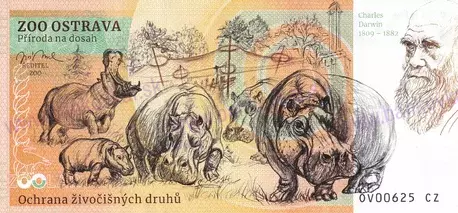 280 ZOO OSTRAVASlon indický2023