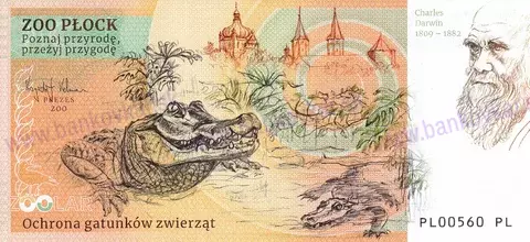 280 ZOO PŁOCK Słoń indyjski