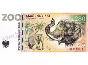 280 ZOO WROCŁAW (Słoń indyjski) 2023