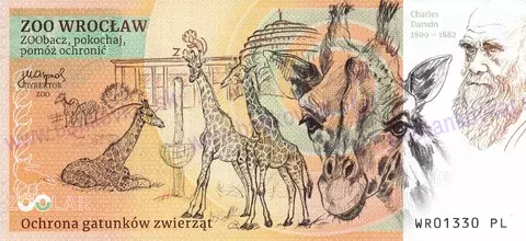 280 ZOO WROCŁAW Słoń indyjski