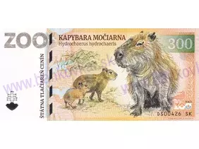 300 MALKIA Park (Kapybara močiarna) 2024