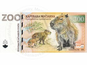 300 MALKIA Park (Kapybara močiarna) 2024