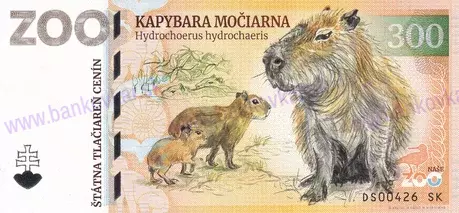 300 Malkia park Kapybara močiarna