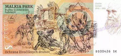 300 Malkia park Kapybara močiarna