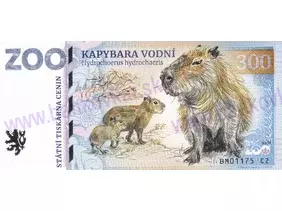 300 ZOO BRNO (Kapybara vodní) 2024
