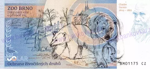 300 ZOO Brno Kapybara vodní 2024