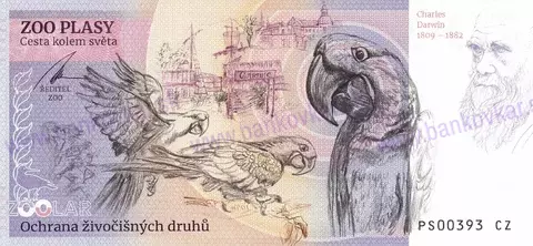 300 ZOO DĚČÍN Kapybara vodní 2024