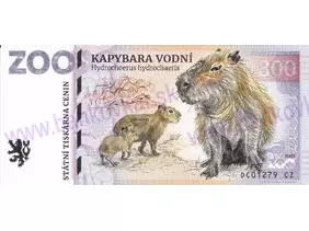 300 ZOO DĚČÍN (Kapybara vodní) 2024