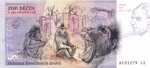 300 ZOO DĚČÍN Kapybara vodní 2024