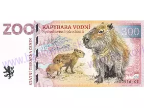 300 ZOO NA HRÁDEČKU (Kapybara vodní) 2024