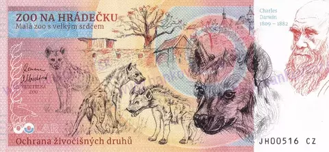 300 ZOO NA HRÁDEČKU Kapybara vodní 2024