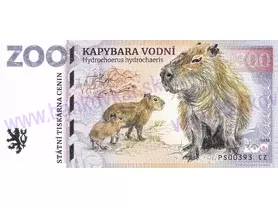 300 ZOO PLASY (Kapybara vodní) 2026
