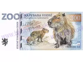 300 ZOO PLZEŇ (Kapybara vodní) 2025