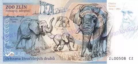300 ZOO ZLÍN Kapybara vodní 2025