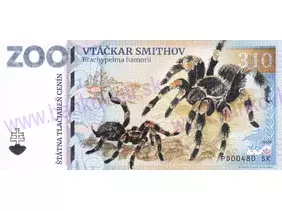 310 ZOO BOJNICE (Vtáčkar Smithov) 2024